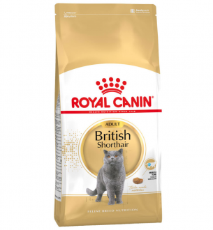 Royal Canin British Shorthair Adult 4 kg Kedi Maması kullananlar yorumlar